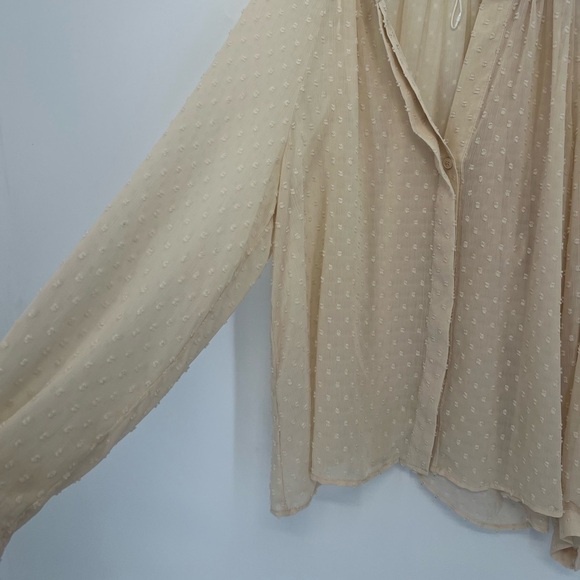 Zara Semi Sheer Swiss Dot Long Sleeve Button Down Blouse - Picture 5 of 8